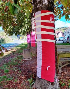 Rožnati oktober (2)